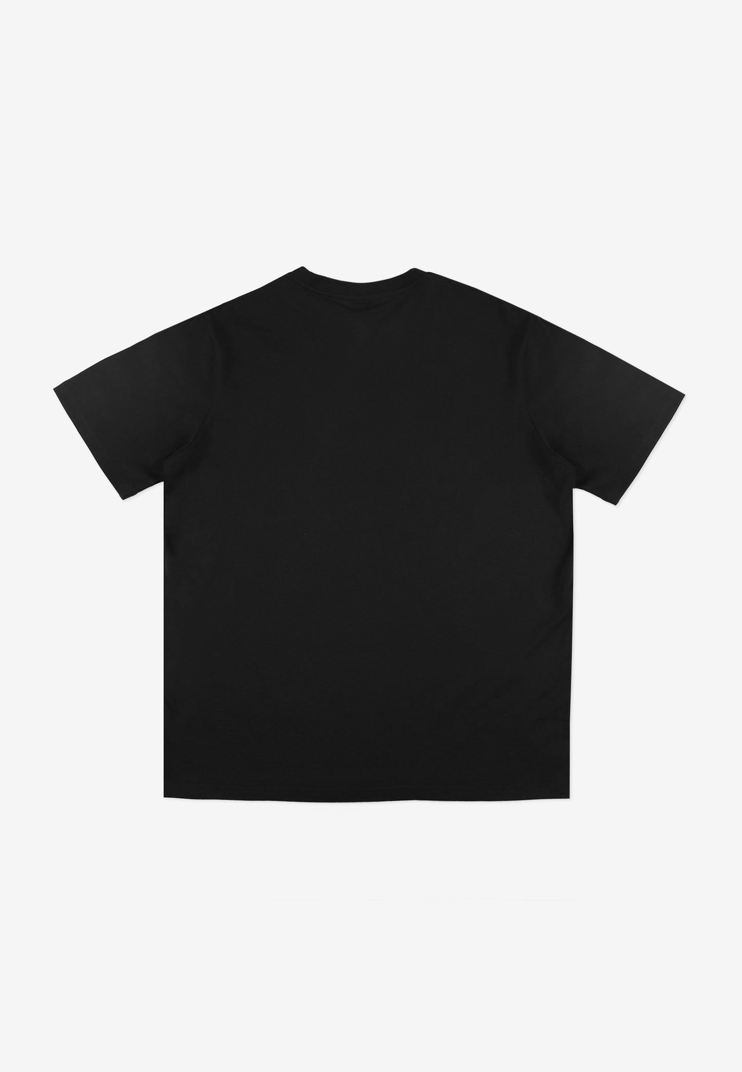 Men’s T-Shirt – Tagger Black by PROSTO