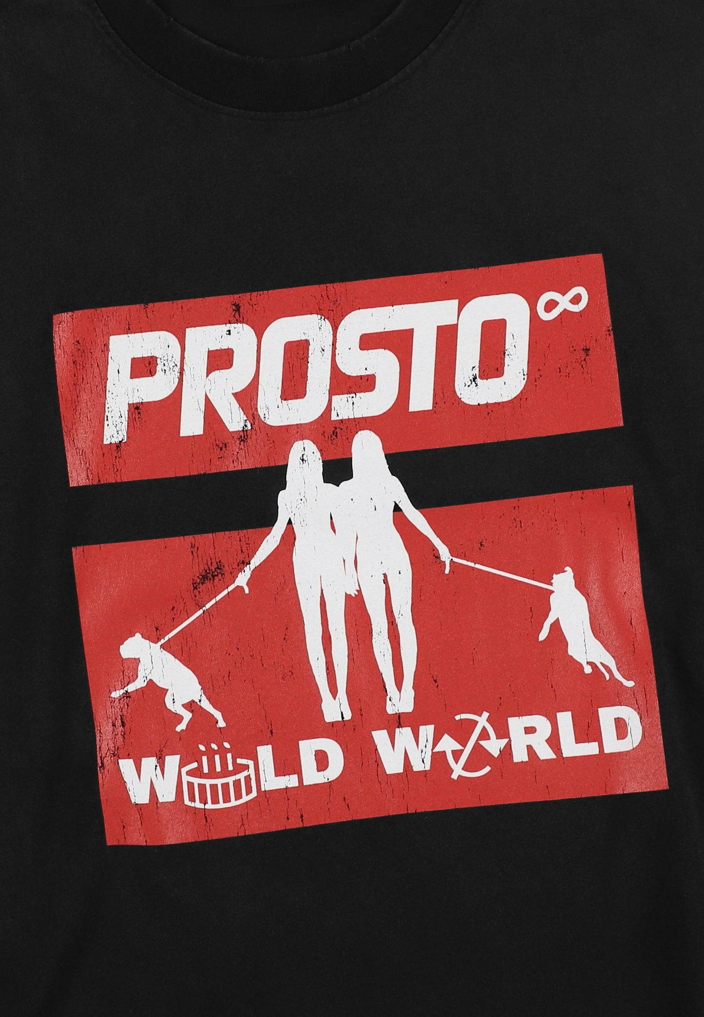 Men’s T-Shirt – Wild World Black by PROSTO