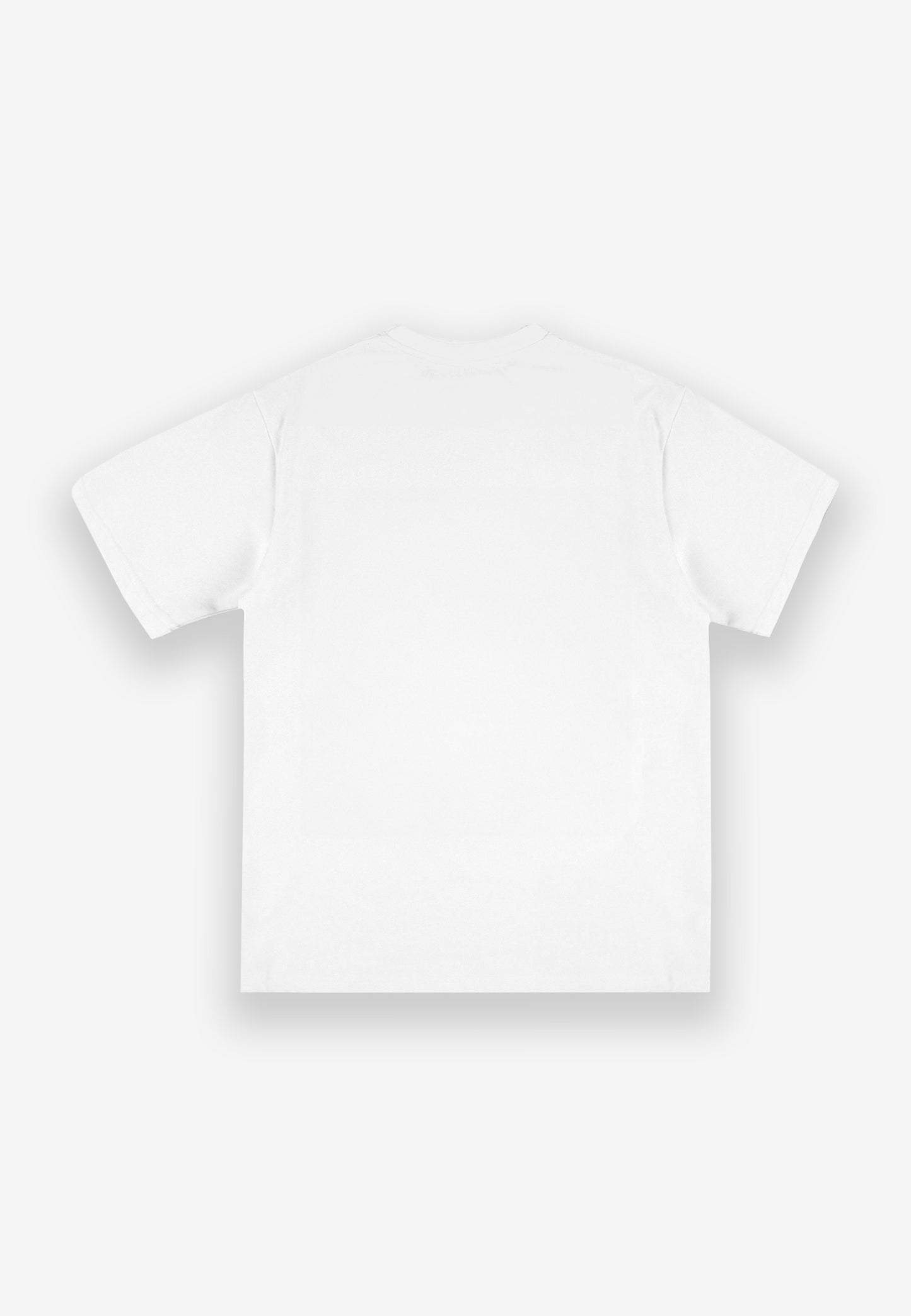 PROSTO – T-Shirt Biglog  🤍🔷