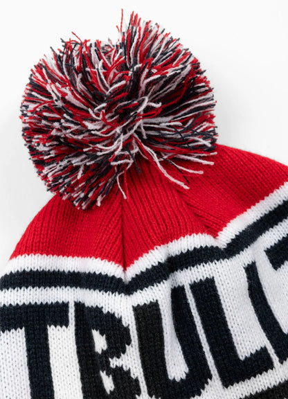 Pitbull – Winter Hat with Pompom FLEMING II ❄️🧶