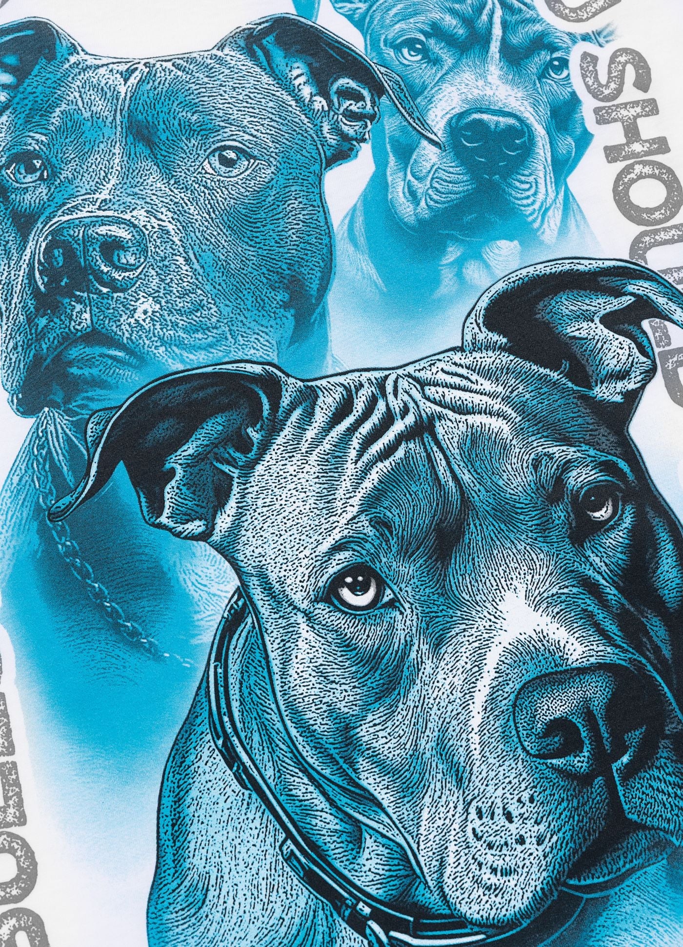 🛡️👕 Pit Bull West Coast T-Shirt “PROTECTOR” White