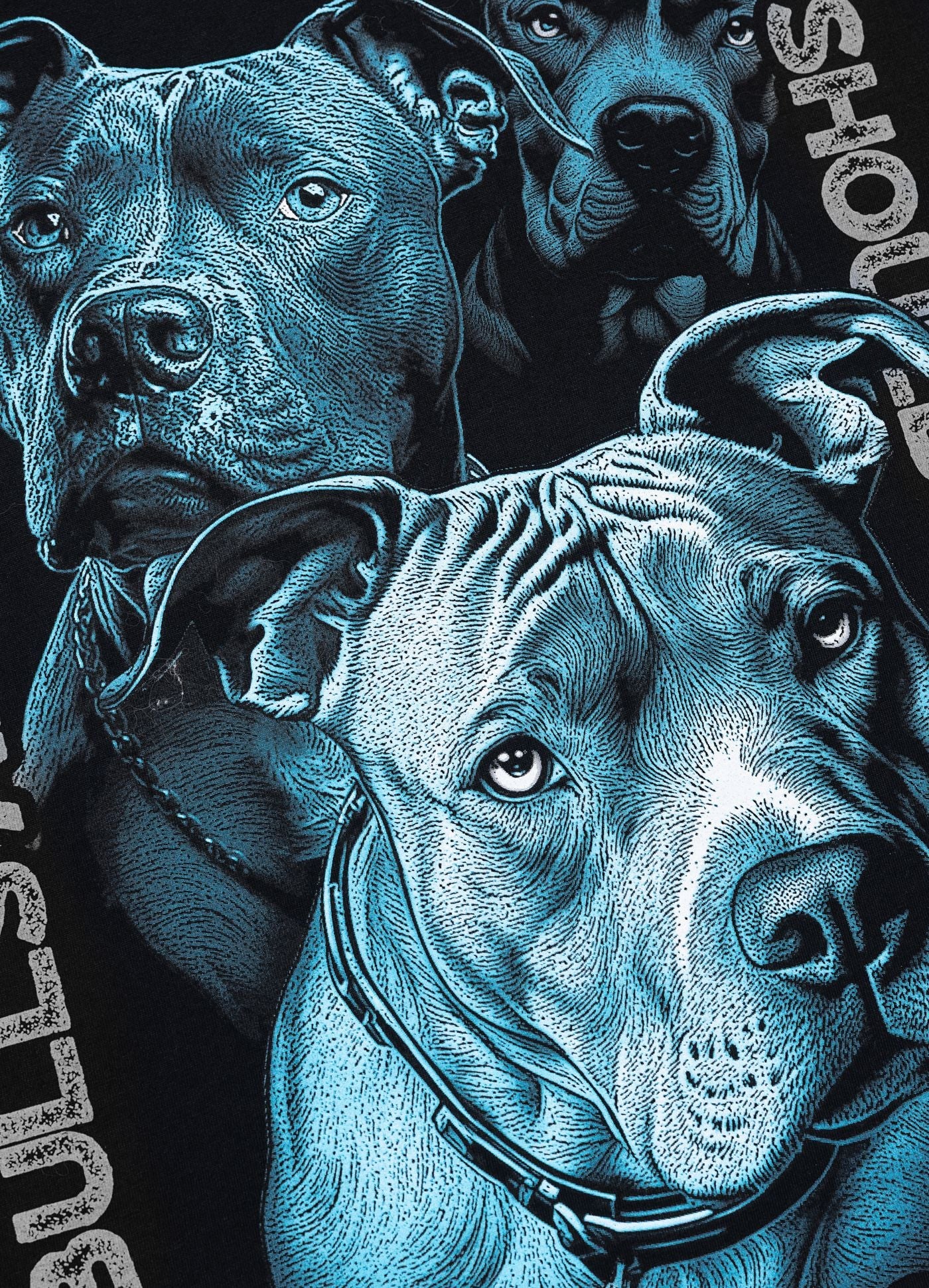 🛡️👕 Pit Bull West Coast T-Shirt “PROTECTOR” Black
