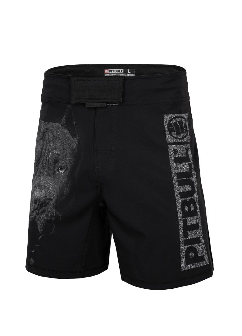 Pitbull West Coast Training Shorts “BORN IN 1989” (PRO+) 🔥🥊