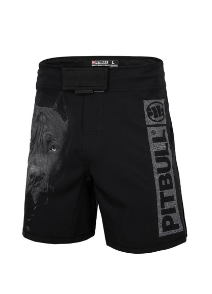 Pitbull West Coast Training Shorts “BORN IN 1989” (PRO+) 🔥🥊